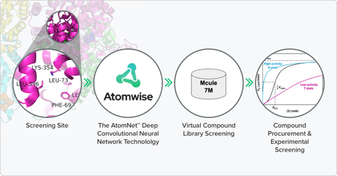 Atomwise_PKLR virtual screening strategy