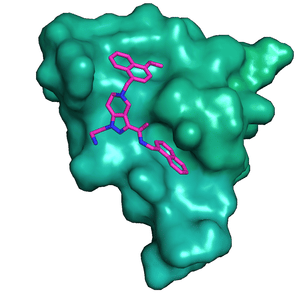 Trypanosoma brucei PEX14 crystal structure