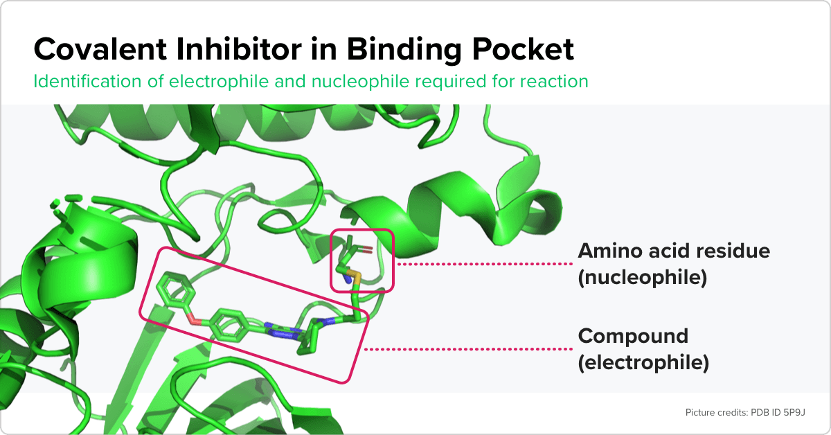 image of covalent inhibitor in binding pocket